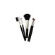 Cosmetic Brush Set 5pc (SM21468)