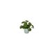 Elho Vibes Fold Round Pot Green 16cm (2541501636900)
