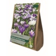 Taylors Crocus Naturalising Mixed 40's