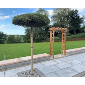 Charles Taylor Devonshire Grand Arch Charles Taylor Devonshire Grand Arch