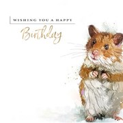 Special Day Birthday Card (IJ0142)