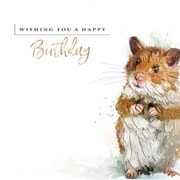 Special Day Birthday Card (IJ0142)