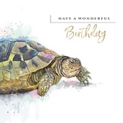A Turtley Amazing Day Birthday Card (IJ0143)