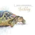 A Turtley Amazing Day Birthday Card (IJ0143)