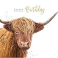Great Birthday Birthday Card (IJ0144)