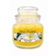 Prices Frangipani Jar Candle Small Prices Frangipani Jar Candle Small