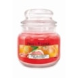 Prices Pink Grapefruit Jar Candle Small Prices Pink Grapefruit Jar Candle Small