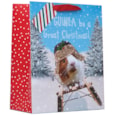 Guinea Pig Gift Bag Large Guinea Pig Gift Bag Large