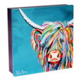 Dean's Rainbow Rab McCoo Shortbread Tin 150g Dean's Rainbow Rab McCoo Shortbread Tin 150g