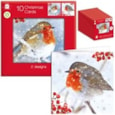 Giftmaker Square Photographic Robin Cards 10's (XANGC801)