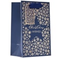 Christmas Star Gift Bag Small