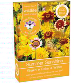 Bee Friends Seed Shaker Summer Sunshine Bee Friends Seed Shaker Summer Sunshine