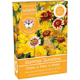 Bee Friends Seed Shaker Summer Sunshine