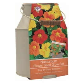 Bee Friends Nasturtium Milkchurn Bee Friends Nasturtium Milkchurn