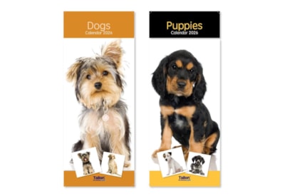 Tallon Super Slim Dogs & Puppies Tallon Super Slim Dogs & Puppies