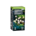 Smart Garden Lumishrooms Set Of 10 Smart Garden Lumishrooms Set Of 10