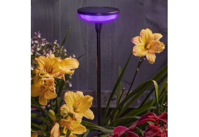 Solar Stake Hygge - Colour Changing Solar Stake Hygge - Colour Changing