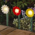 Smart Garden Bloom Beams Stake Light
