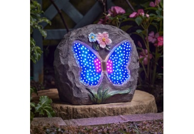 Papillon Animated Rock Papillon Animated Rock