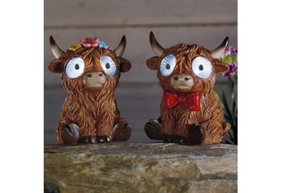 Smart Garden Bright Eyes Highlander Smart Garden Bright Eyes Highlander
