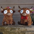 Smart Garden Bright Eyes Highlander