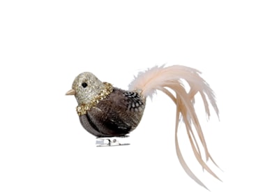 Gisela Graham Clip On Bird Cream/natural Feather 16cm (10549)