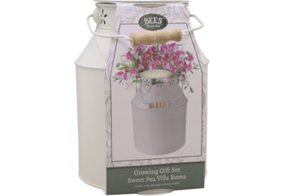 Bee Milkchurn Sweet Pea Bee Milkchurn Sweet Pea