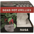 G Plants Dead Hot Chilli Kit (120186)