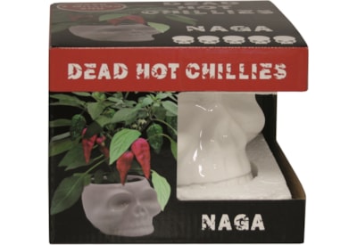 G Plants Dead Hot Chilli Kit G Plants Dead Hot Chilli Kit