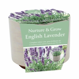 Sow Nurtured Ceramic Pearlescent Pot Sow Nurtured Ceramic Pearlescent Pot