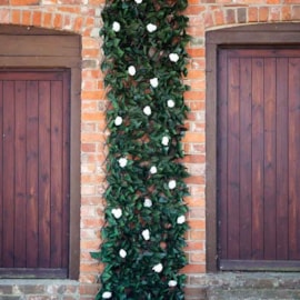 Smart Garden White Bloom Leaf 1.8m x 0.6m Trellis Smart Garden White Bloom Leaf 1.8m x 0.6m Trellis