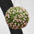 Smart Garden Topiary Pink Rose Ball 30cm (5040041)