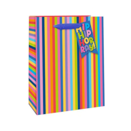 Bright Stripes Gift Bag Large