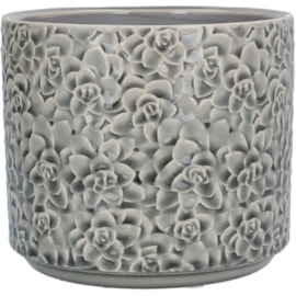 Gisela Graham Succulents Stoneware Pot Cover Grey Medium (20630)
