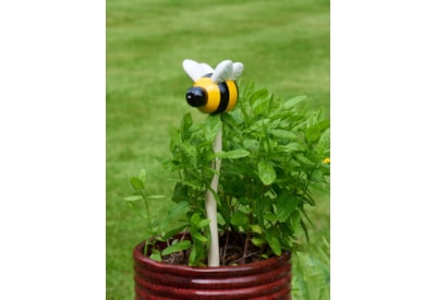 Smart Garden Decobee Large Smart Garden Decobee Large