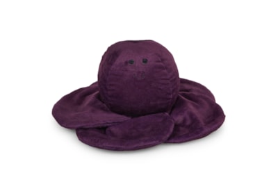 Petface Ruby Red Cabbage (23078)