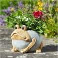 Smart Garden Woodstone Frog Planter (5071017)