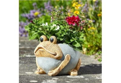 Smart Garden Woodstone Frog Planter (5071017)