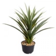 Smart Garden Faux Plant Spiky Sisal Smart Garden Faux Plant Spiky Sisal