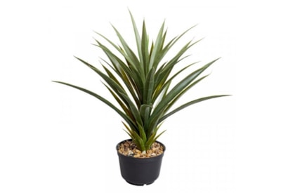 Smart Garden Faux Plant Spiky Sisal (5607001)