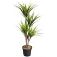 Smart Garden Faux Dragon Tree 105cm Smart Garden Faux Dragon Tree 105cm