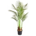 Smart Garden Faux Phoenix Palm 124cm (5607005)