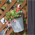 Smart Garden Fence And Balacony Hanging Pot -ivory 6" (6030289)