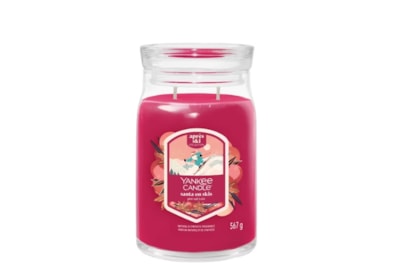 Yankee Candle Signature Jar Santa On Skis Large Yankee Candle Signature Jar Santa On Skis Large