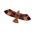 Brookite Red Kite Kite Brookite Red Kite Kite