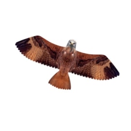 Brookite Red Kite Kite Brookite Red Kite Kite