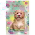 Simon Elvin Wags & Whiskers Card Simon Elvin Wags & Whiskers Card