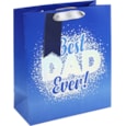 Best Dad Ever Gift Bag Medium (31876-3C)