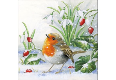 Ambiente Robin 33cm Ambiente Robin 33cm