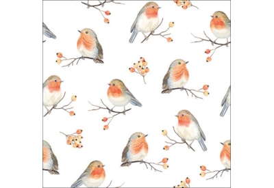 Ambiente Robin Family 33cm